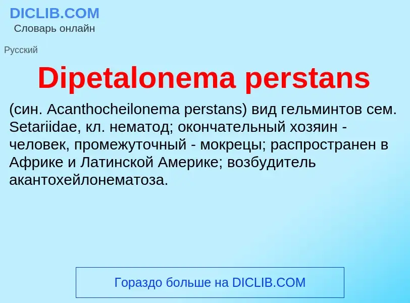 Что такое Dipetalonema perstans  - определение