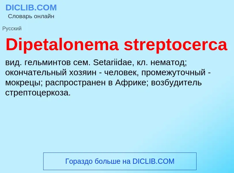 Что такое Dipetalonema streptocerca - определение