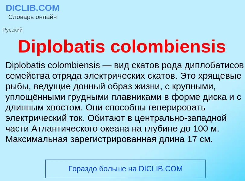 Что такое Diplobatis colombiensis - определение