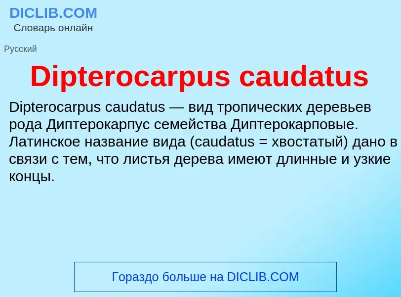 Что такое Dipterocarpus caudatus - определение