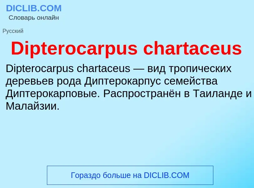 Что такое Dipterocarpus chartaceus - определение