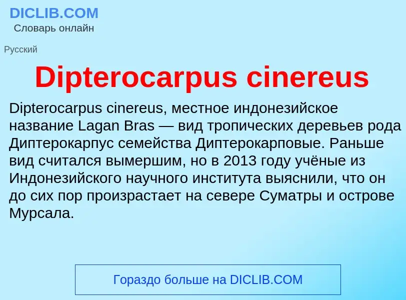 Что такое Dipterocarpus cinereus - определение