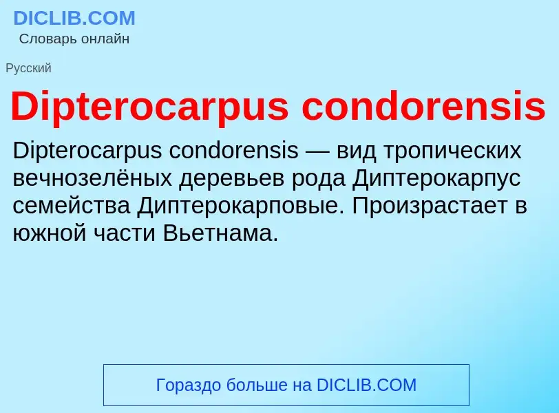 Что такое Dipterocarpus condorensis - определение