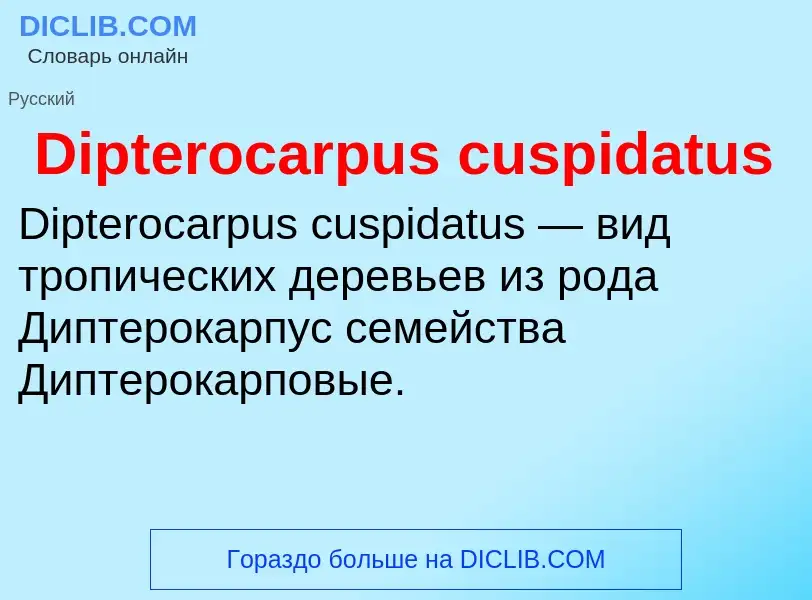 Что такое Dipterocarpus cuspidatus - определение