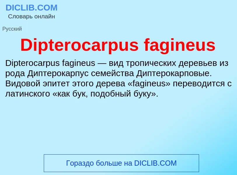 Что такое Dipterocarpus fagineus - определение