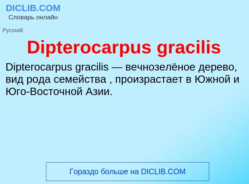 Что такое Dipterocarpus gracilis - определение