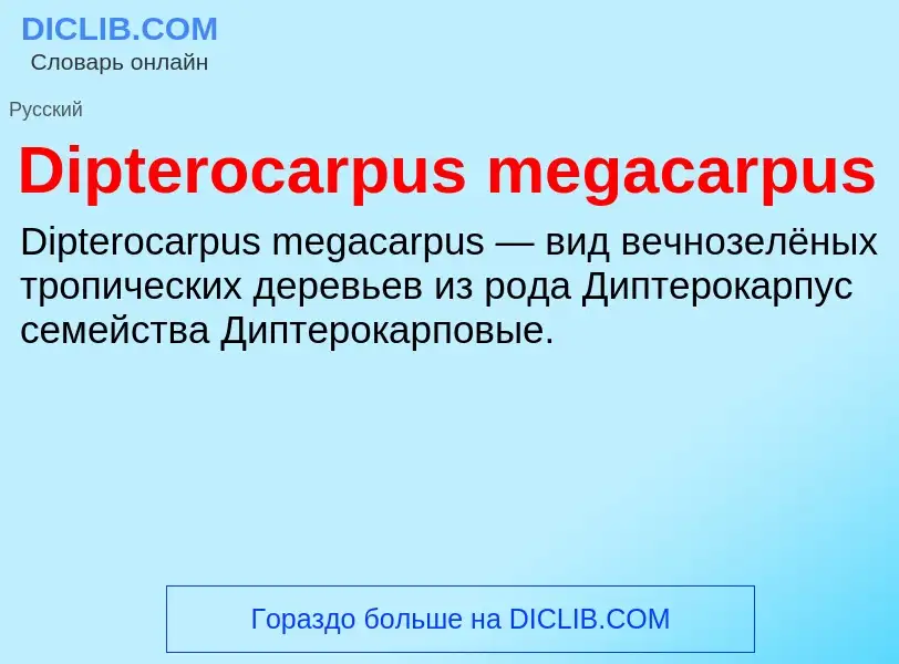 Что такое Dipterocarpus megacarpus - определение