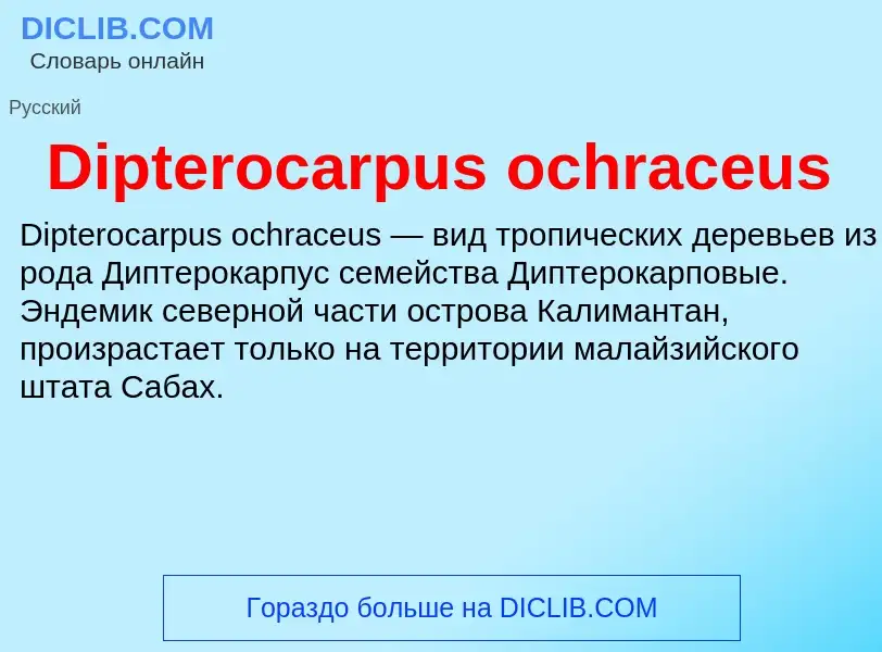 Что такое Dipterocarpus ochraceus - определение