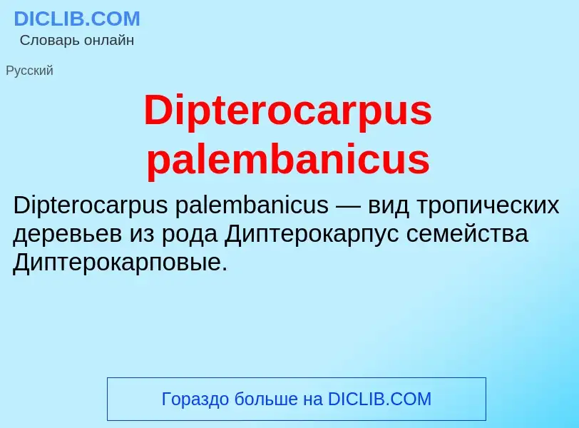 Что такое Dipterocarpus palembanicus - определение