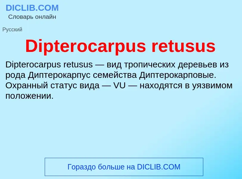 Что такое Dipterocarpus retusus - определение