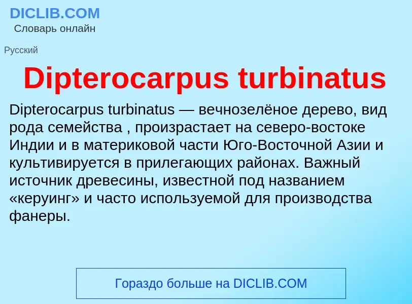 Что такое Dipterocarpus turbinatus - определение