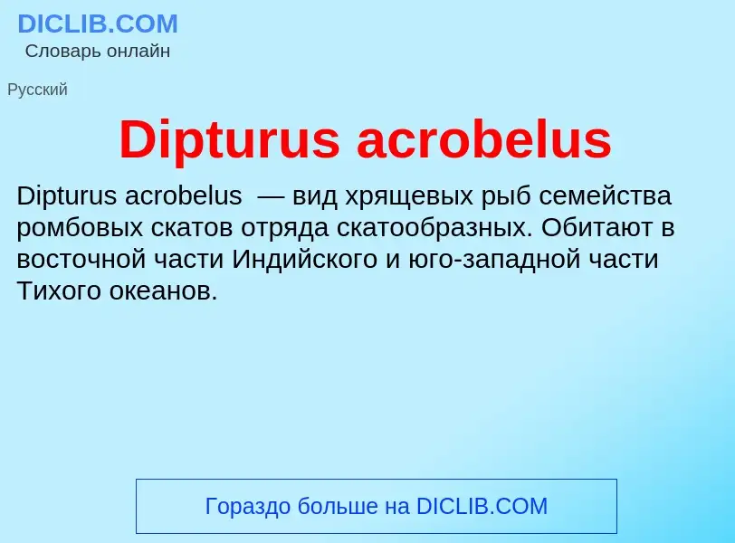 Что такое Dipturus acrobelus - определение