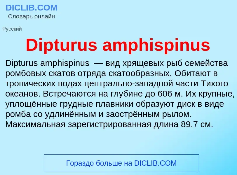 Что такое Dipturus amphispinus - определение