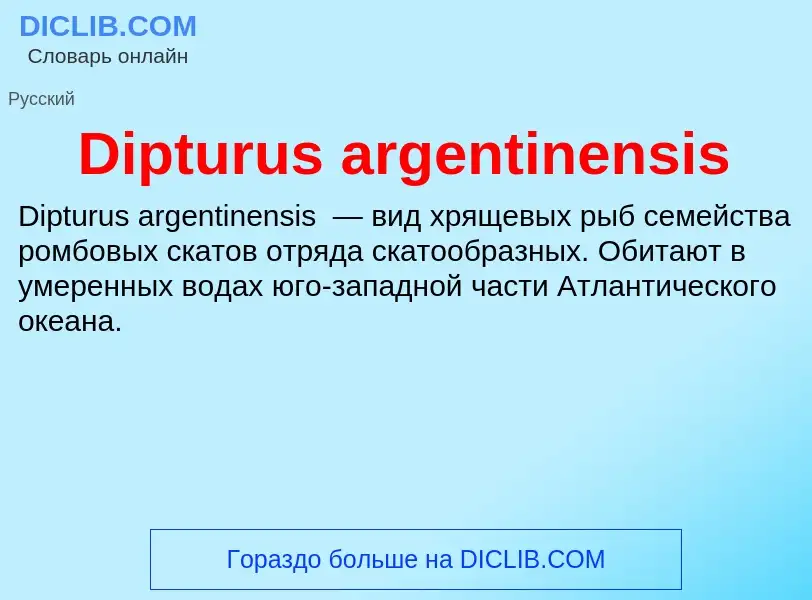 Что такое Dipturus argentinensis - определение