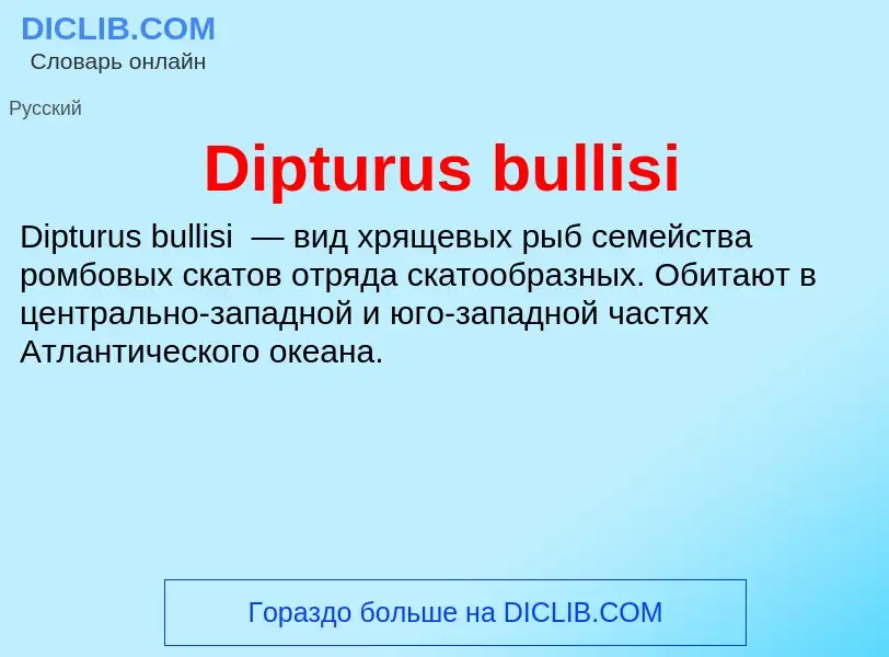 Что такое Dipturus bullisi - определение