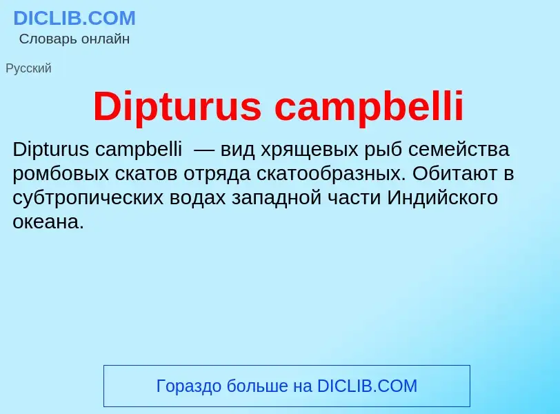 Что такое Dipturus campbelli - определение