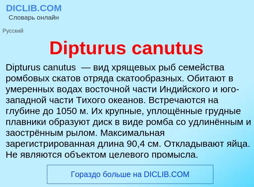 Что такое Dipturus canutus - определение