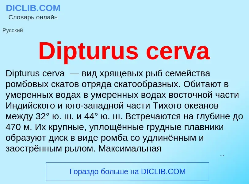 Что такое Dipturus cerva - определение