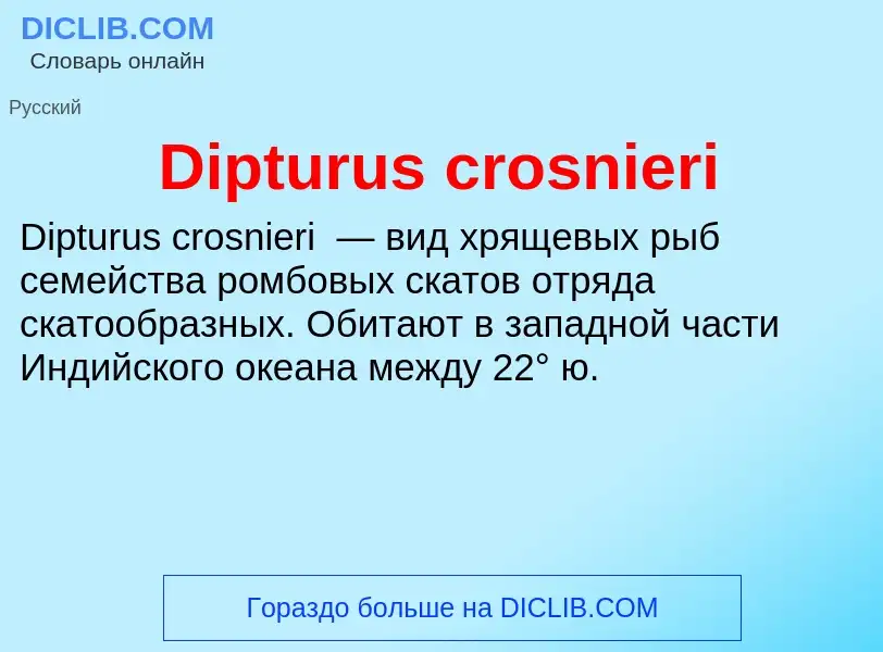 Что такое Dipturus crosnieri - определение