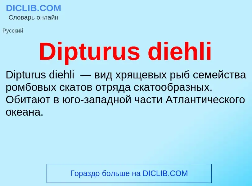 Что такое Dipturus diehli - определение