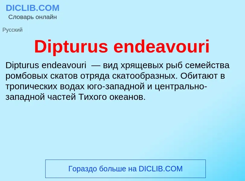 Что такое Dipturus endeavouri - определение