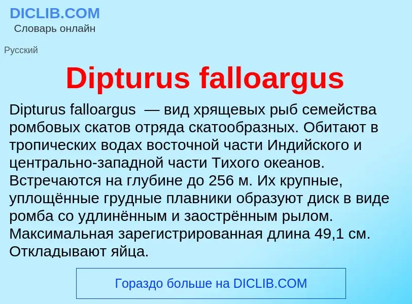 Что такое Dipturus falloargus - определение