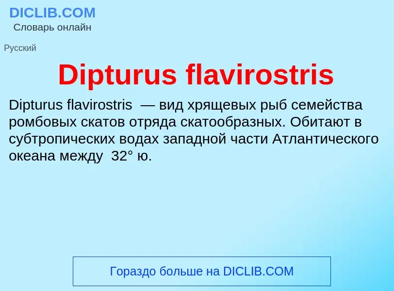 Что такое Dipturus flavirostris - определение