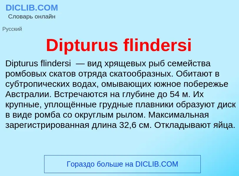 Что такое Dipturus flindersi - определение