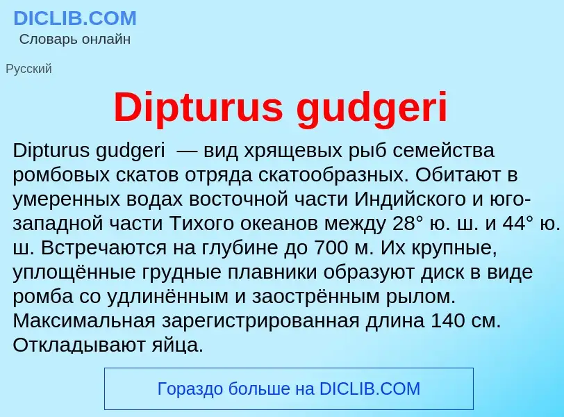 Что такое Dipturus gudgeri - определение