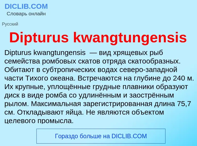 Что такое Dipturus kwangtungensis - определение