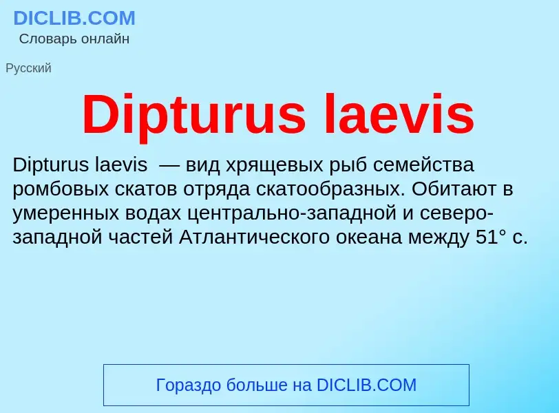 Что такое Dipturus laevis - определение