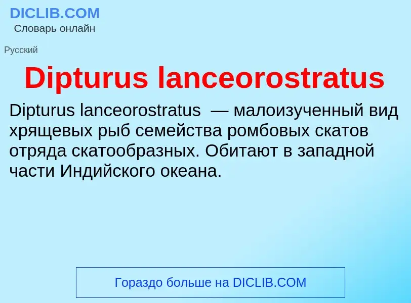 Что такое Dipturus lanceorostratus - определение