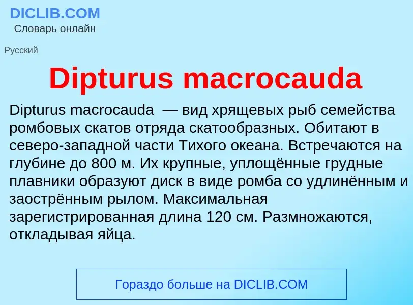 Что такое Dipturus macrocauda - определение