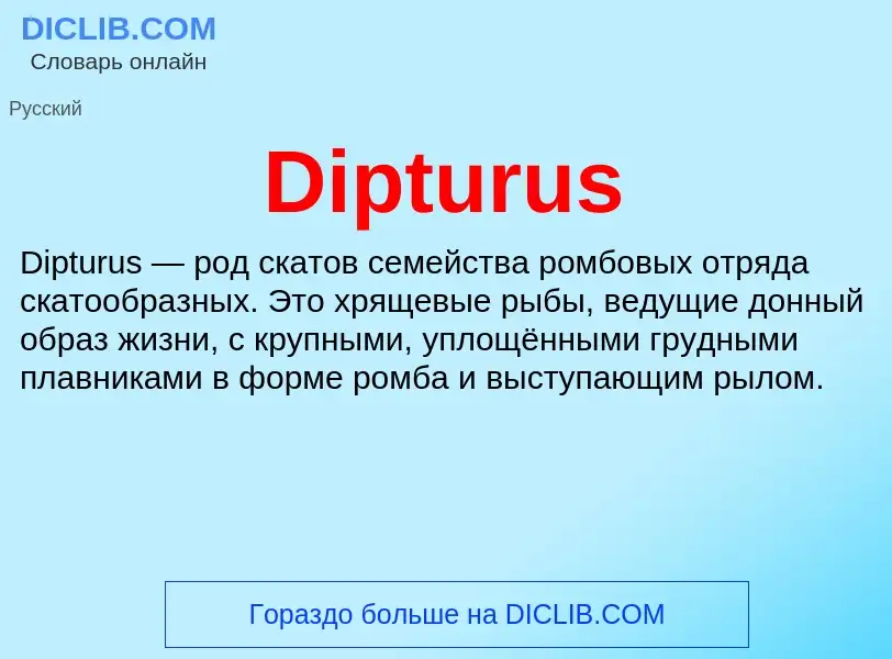 Что такое Dipturus - определение