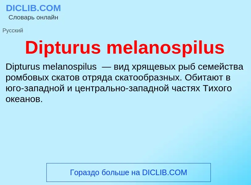 Что такое Dipturus melanospilus - определение