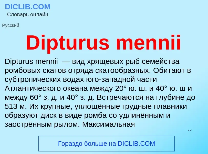 Что такое Dipturus mennii - определение