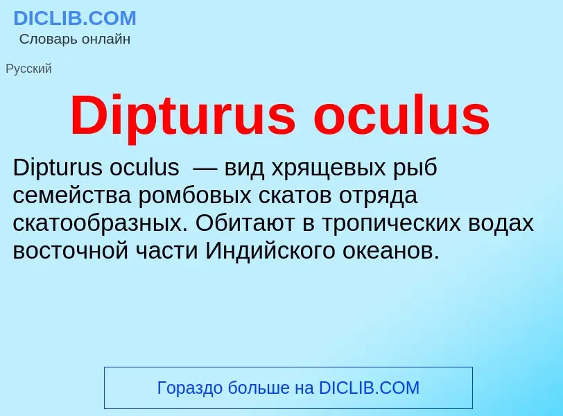 Что такое Dipturus oculus - определение