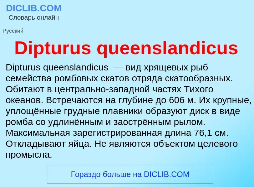 Что такое Dipturus queenslandicus - определение