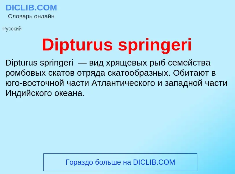 Что такое Dipturus springeri - определение