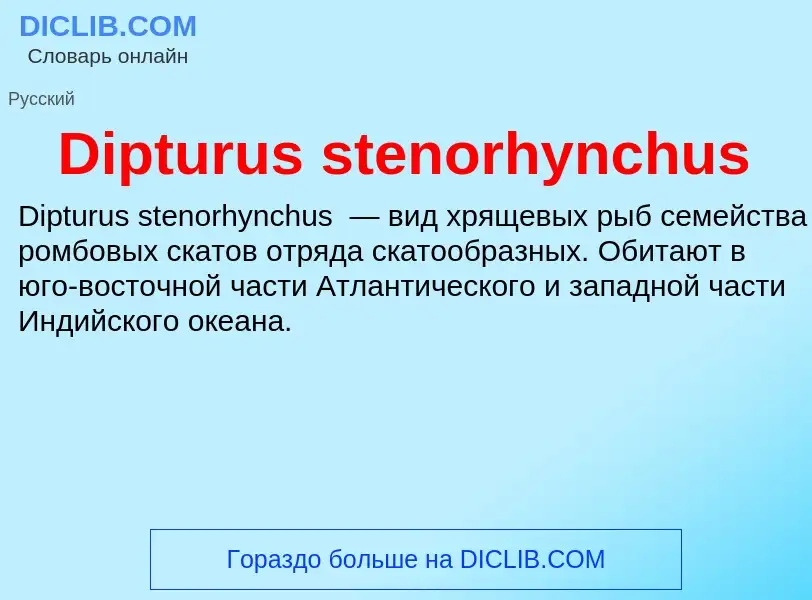 Что такое Dipturus stenorhynchus - определение