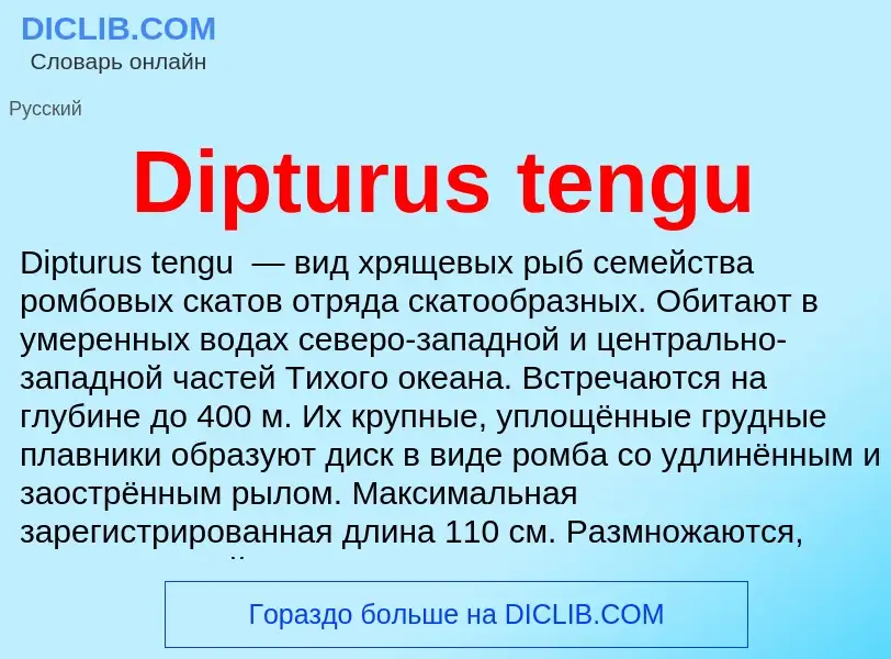 Что такое Dipturus tengu - определение