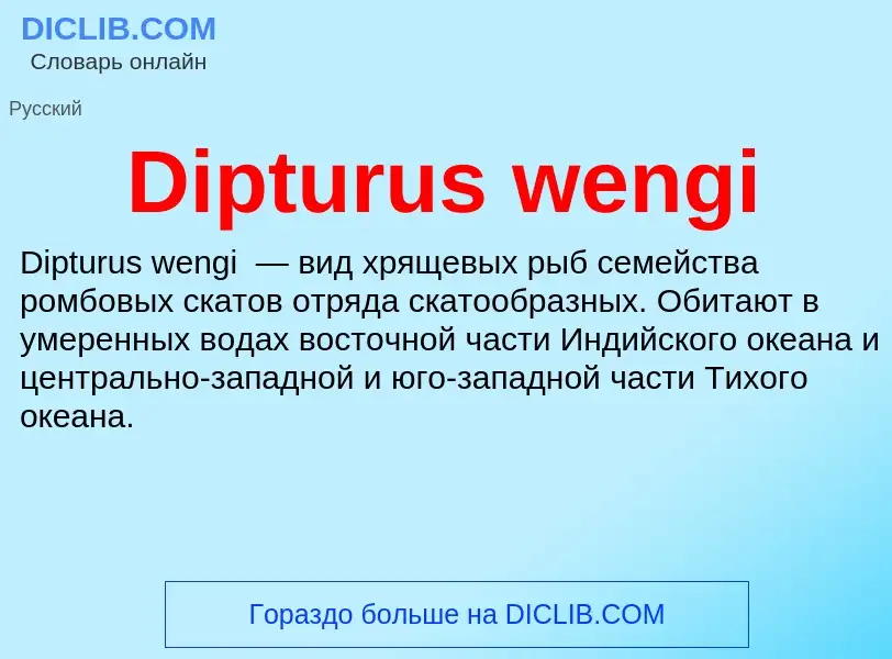 Что такое Dipturus wengi - определение