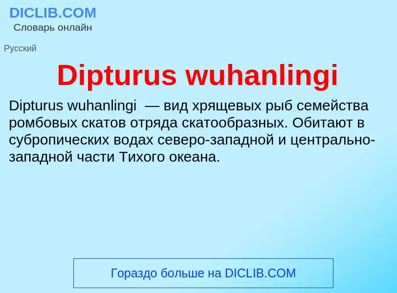 Что такое Dipturus wuhanlingi - определение