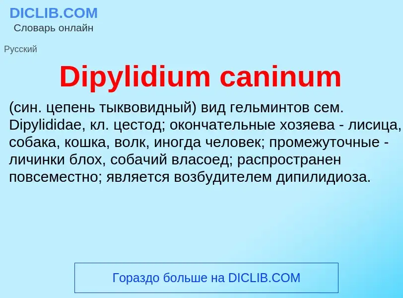 Что такое Dipylidium caninum  - определение