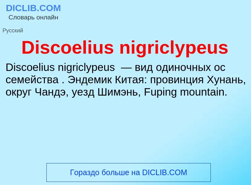 Che cos'è Discoelius nigriclypeus - definizione