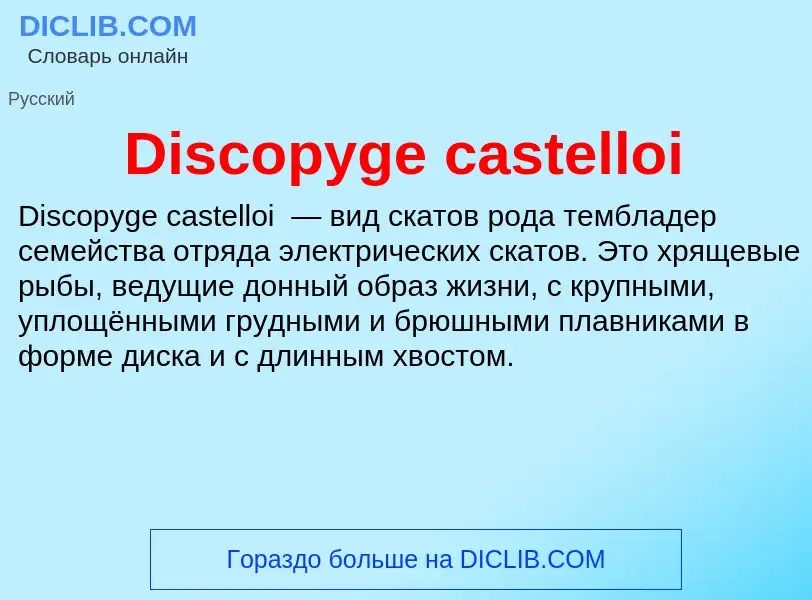 Che cos'è Discopyge castelloi - definizione