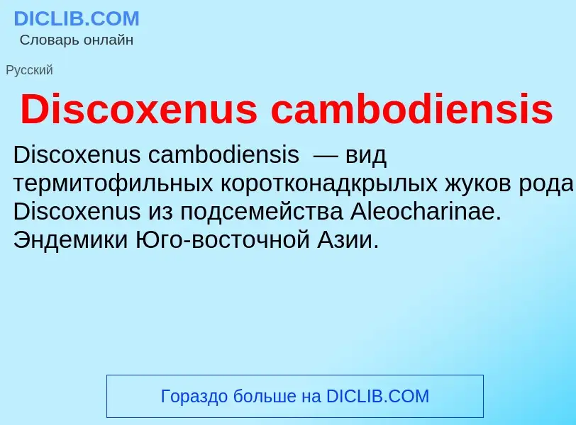 Che cos'è Discoxenus cambodiensis - definizione