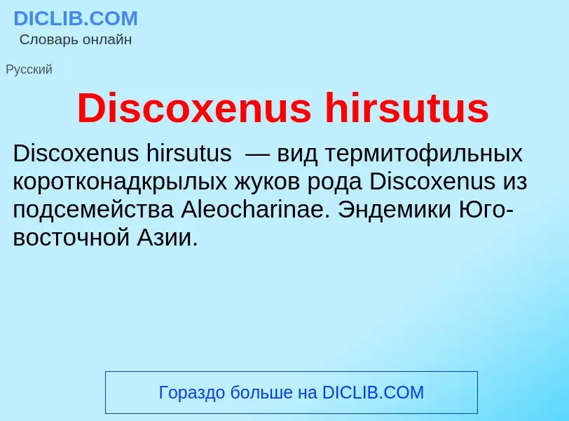 Che cos'è Discoxenus hirsutus - definizione