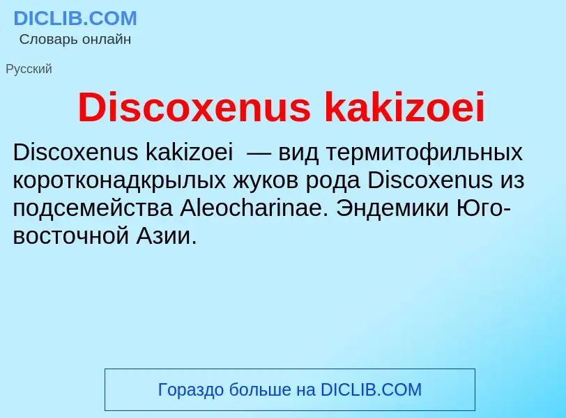 Che cos'è Discoxenus kakizoei - definizione