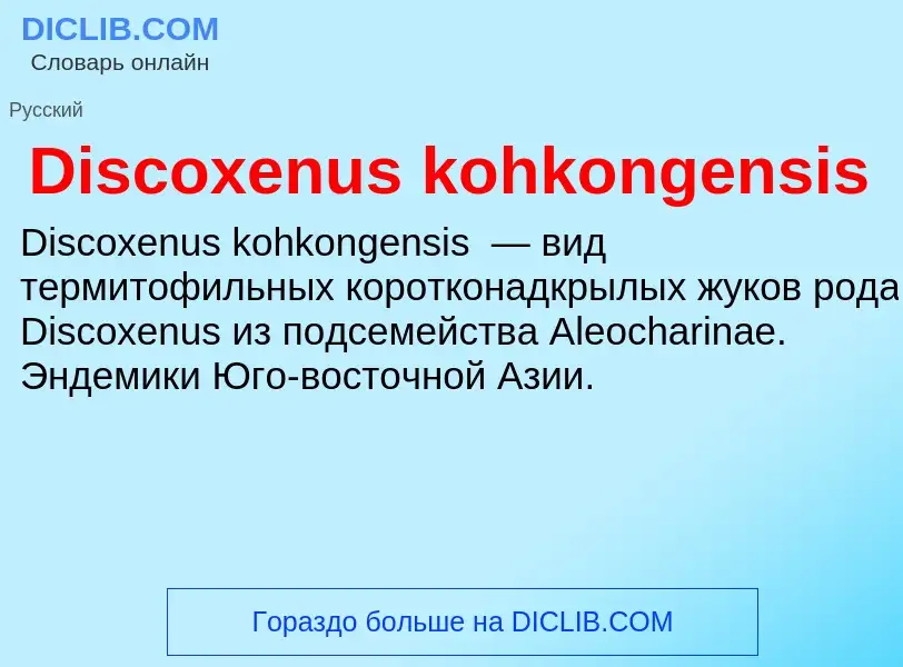 Che cos'è Discoxenus kohkongensis - definizione